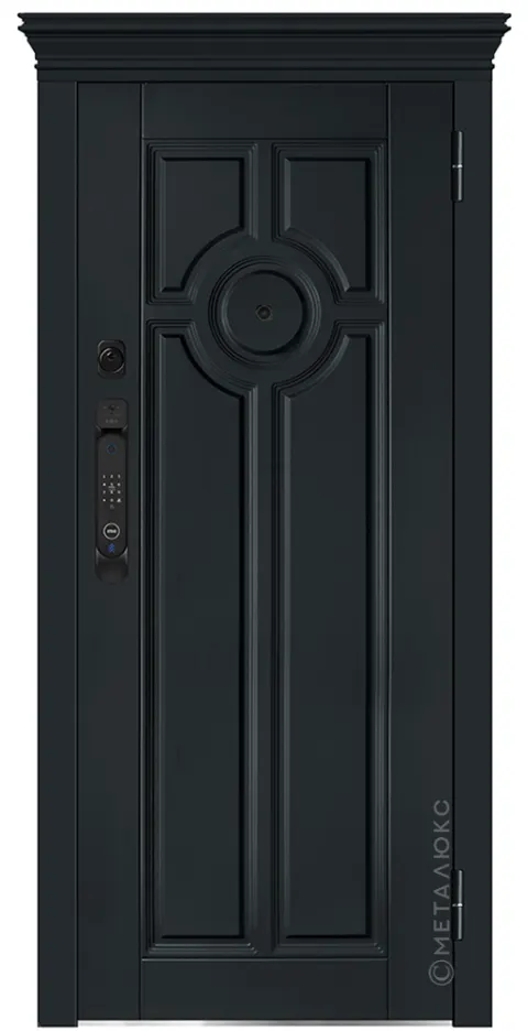 Входная дверь Металюкс М-SP 1038 Е