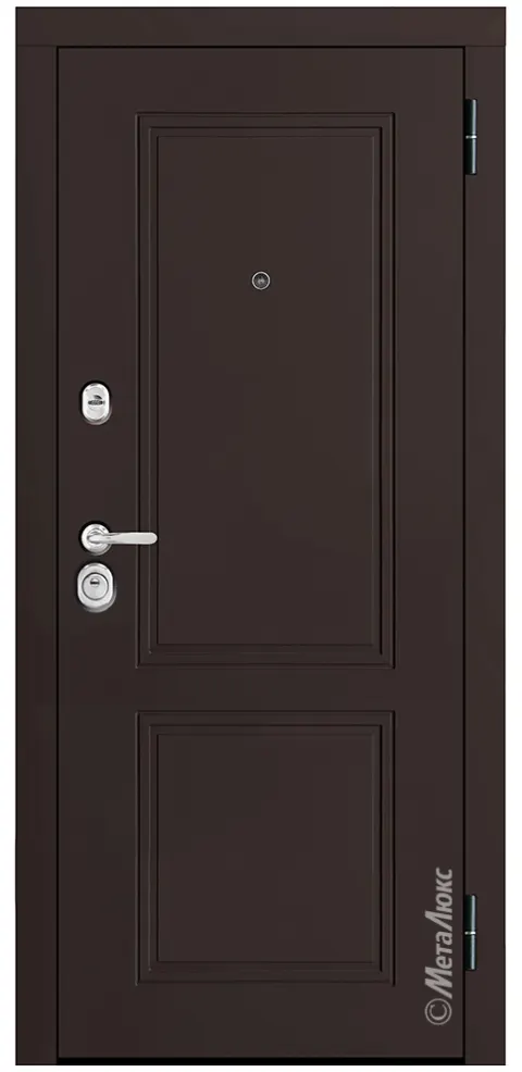 Входная дверь Металюкс М448/1 Е5