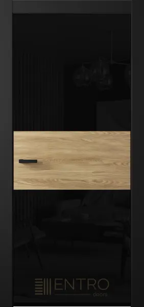 Дверь Motion MT 10