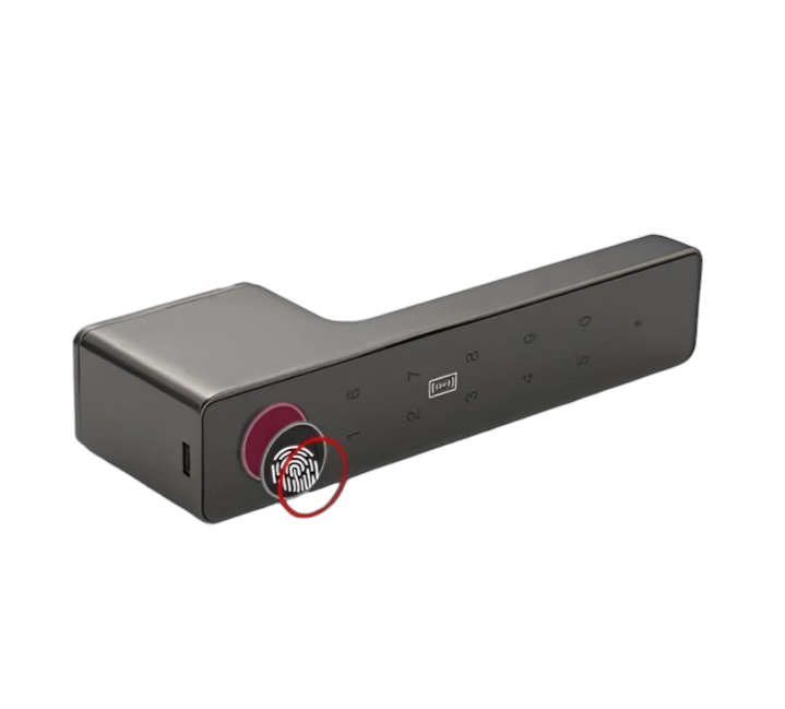 Умная дверная ручка-замок Smart 01 Platinum Gray с отпечатком пальца и поддержкой Smart Life