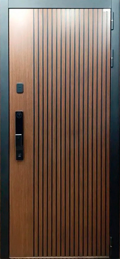 Velvet с зеркалом Smart lock K 06 (адаптивная замковая часть) номер двери МГ-ОБР.39-25НОВАЯ размер 2050*960 правая